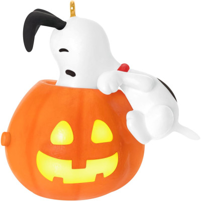 HALLMARK KEEPSAKE SNOOPY...