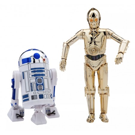 DISNEY STAR WARS C-3PO EN R2-D2 ACTION FIGUUR MET LICHT EN GELUID